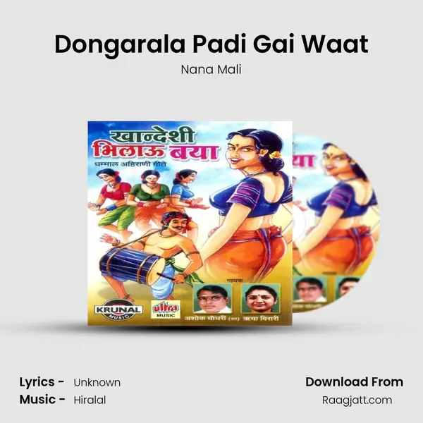 Dongarala Padi Gai Waat - Nana Mali album cover 