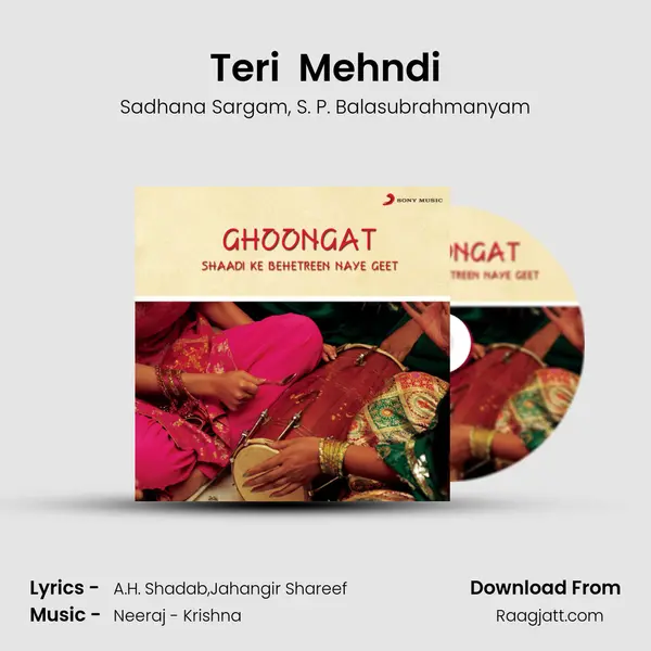 Teri  Mehndi - Sadhana Sargam album cover 