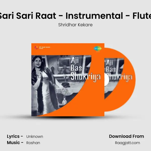 Sari Sari Raat - Instrumental - Flute - Shridhar Kekare album cover 