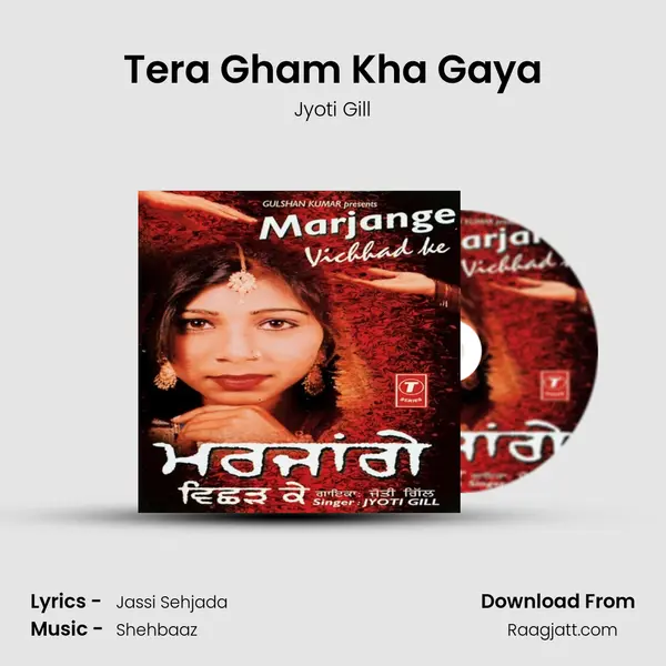 Tera Gham Kha Gaya - Jyoti Gill album cover 