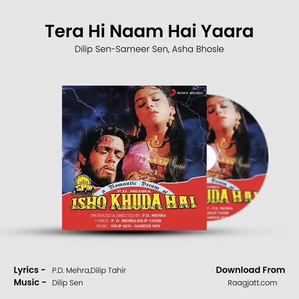 Tera Hi Naam Hai Yaara - Dilip Sen-Sameer Sen album cover 