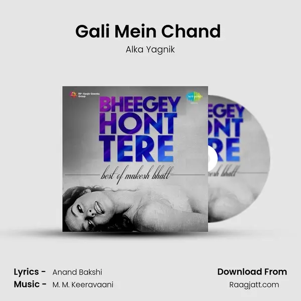 Gali Mein Chand (Happy) - Alka Yagnik album cover 