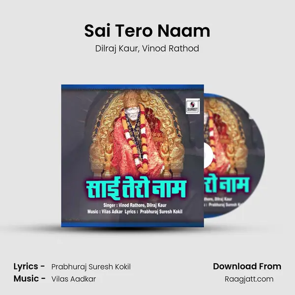 Sai Tero Naam - Dilraj Kaur album cover 