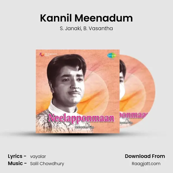 Kannil Meenadum mp3 song