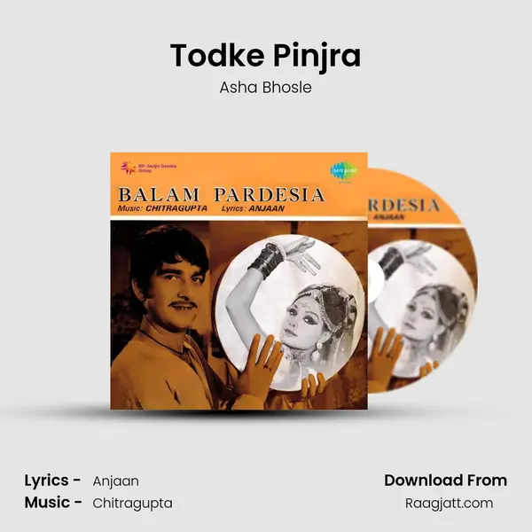 Todke Pinjra mp3 song