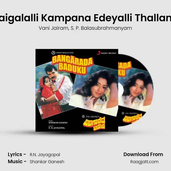 Kaigalalli Kampana Edeyalli Thallana - Vani Jairam album cover 