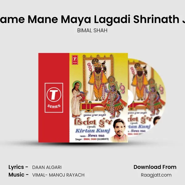 Tame Mane Maya Lagadi Shrinath Ji mp3 song