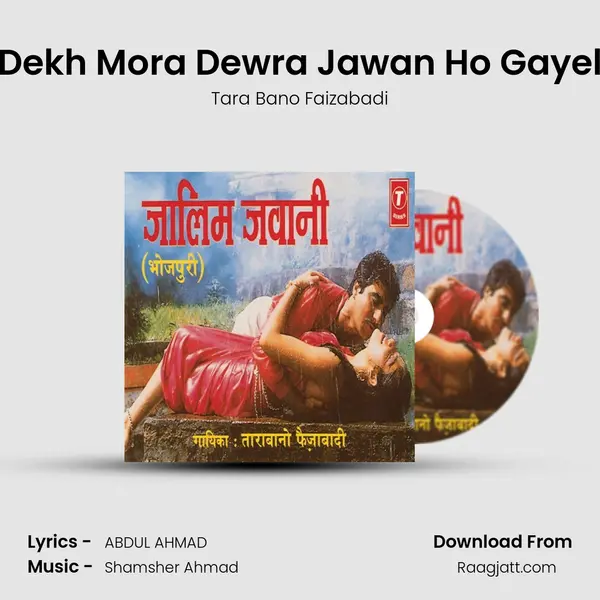 Dekh Mora Dewra Jawan Ho Gayel mp3 song