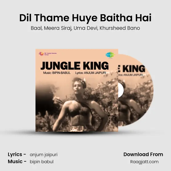 Dil Thame Huye Baitha Hai mp3 song