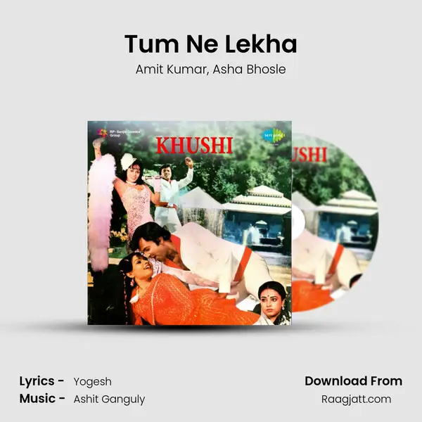 Tum Ne Lekha - Amit Kumar album cover 