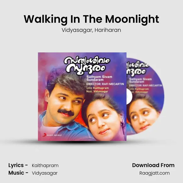 Walking In The Moonlight - Vidyasagar album cover 