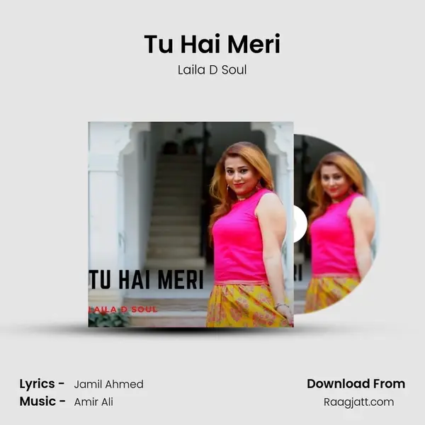 Tu Hai Meri - Laila D Soul album cover 