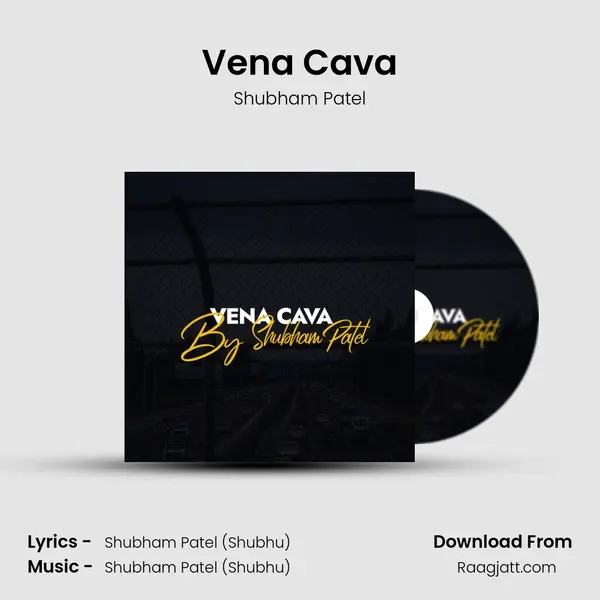 Vena Cava - Shubham Patel album cover 