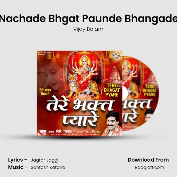 Nachade Bhgat Paunde Bhangade - Vijay Balam album cover 