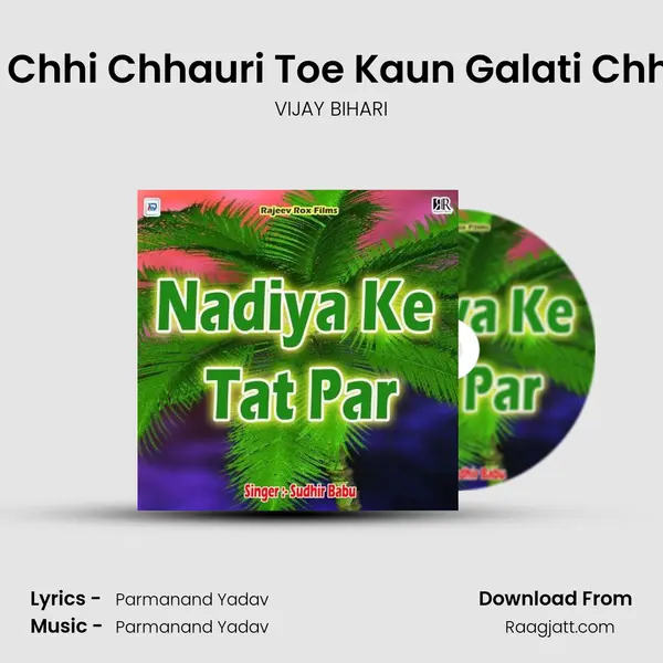 Jab De Chhi Chhauri Toe Kaun Galati Chhaura K - VIJAY BIHARI album cover 