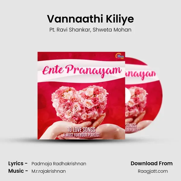 Vannaathi Kiliye mp3 song