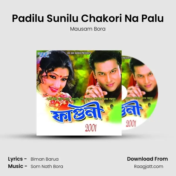 Padilu Sunilu Chakori Na Palu - Mausam Bora album cover 