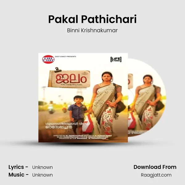 Pakal Pathichari - Binni Krishnakumar album cover 