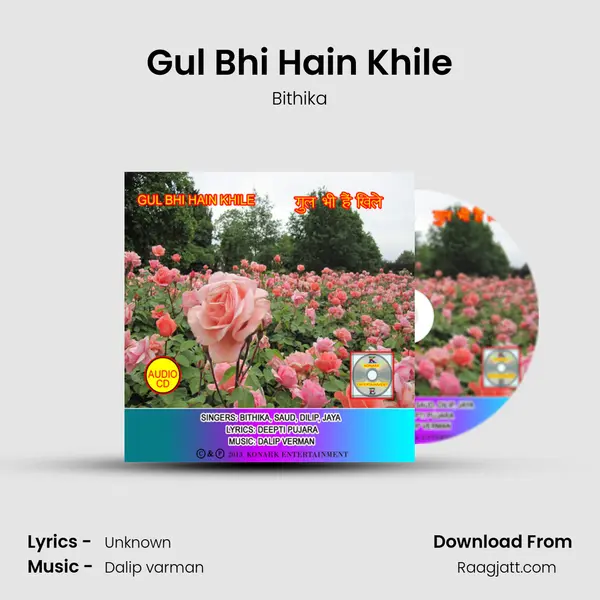 Gul Bhi Hain Khile mp3 song