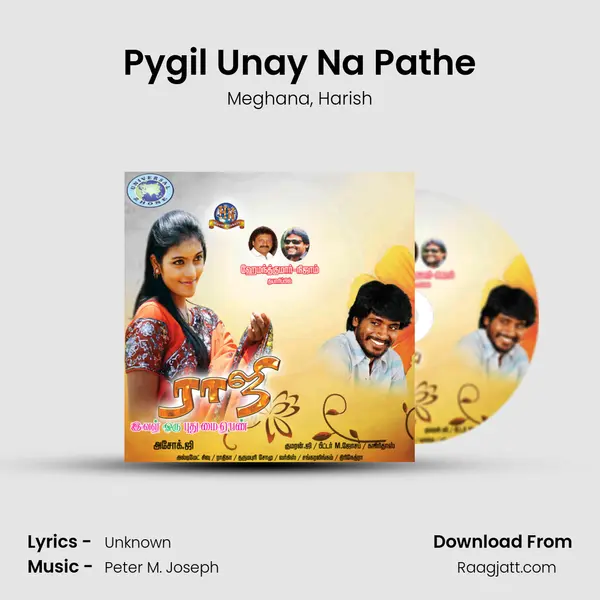 Pygil Unay Na Pathe - Meghana album cover 