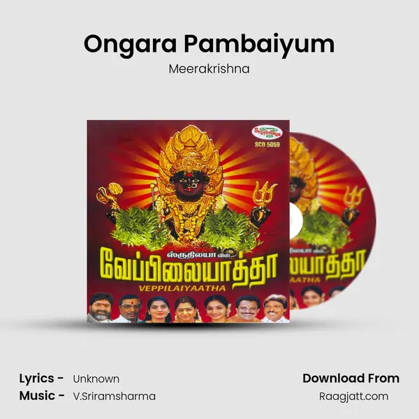 Ongara Pambaiyum - Meerakrishna album cover 