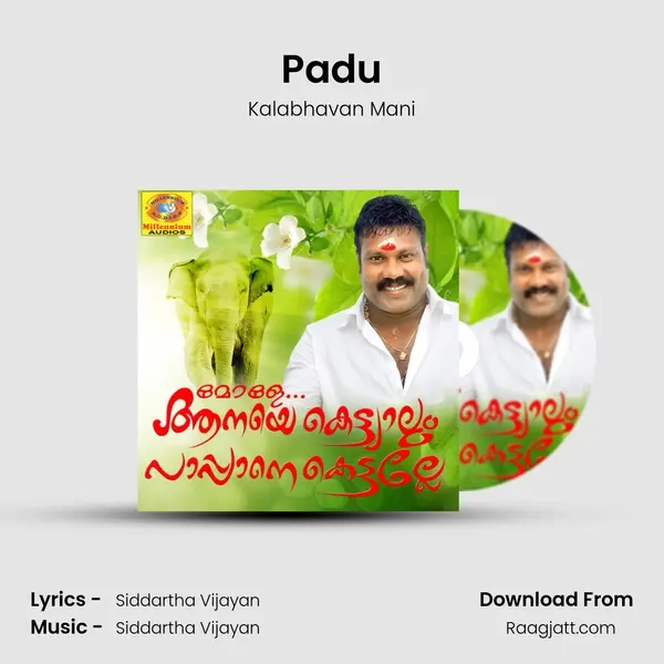 Padu mp3 song