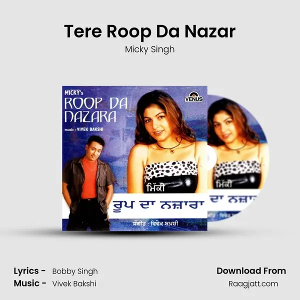 Tere Roop Da Nazar - Micky Singh album cover 