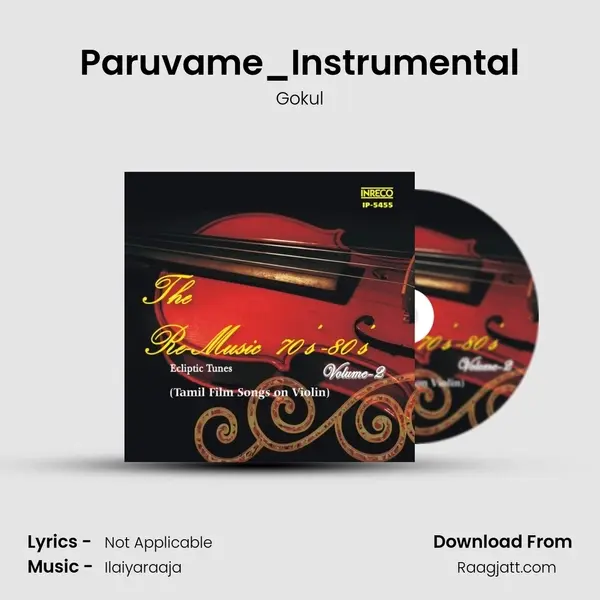 Paruvame_Instrumental - Gokul album cover 