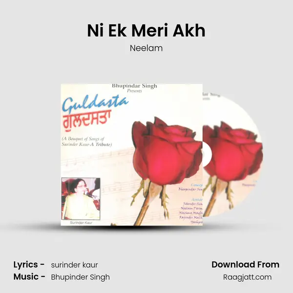 Ni Ek Meri Akh - Neelam album cover 