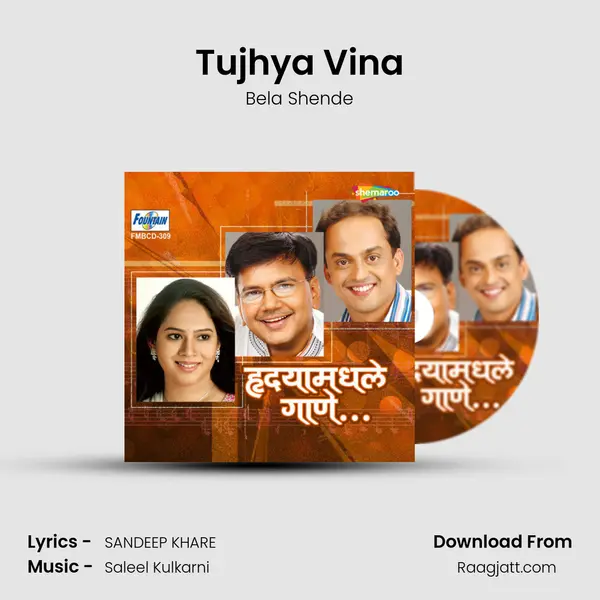 Tujhya Vina mp3 song