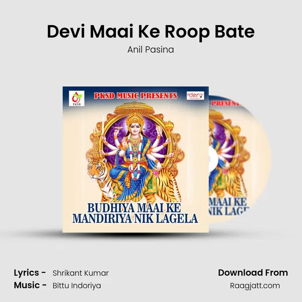 Devi Maai Ke Roop Bate - Anil Pasina album cover 