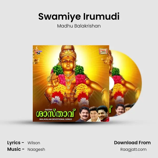 Swamiye Irumudi mp3 song