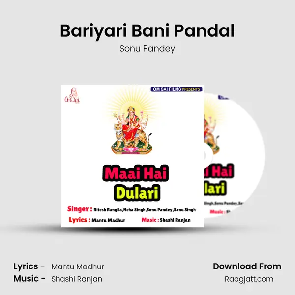 Bariyari Bani Pandal - Sonu Pandey album cover 