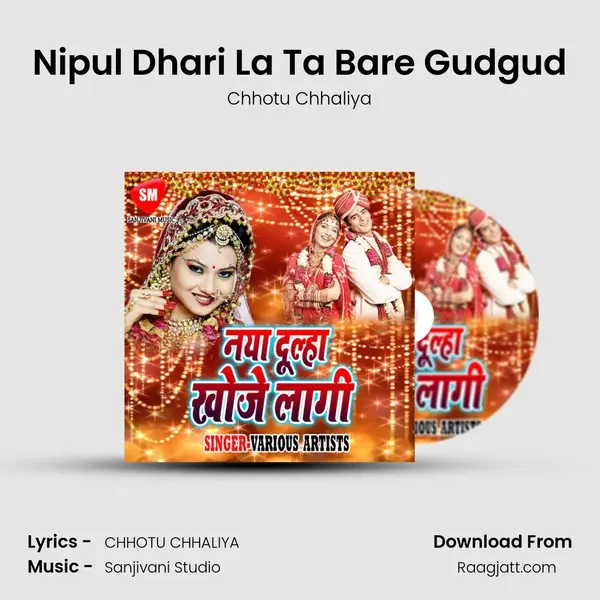 Nipul Dhari La Ta Bare Gudgud - Chhotu Chhaliya album cover 