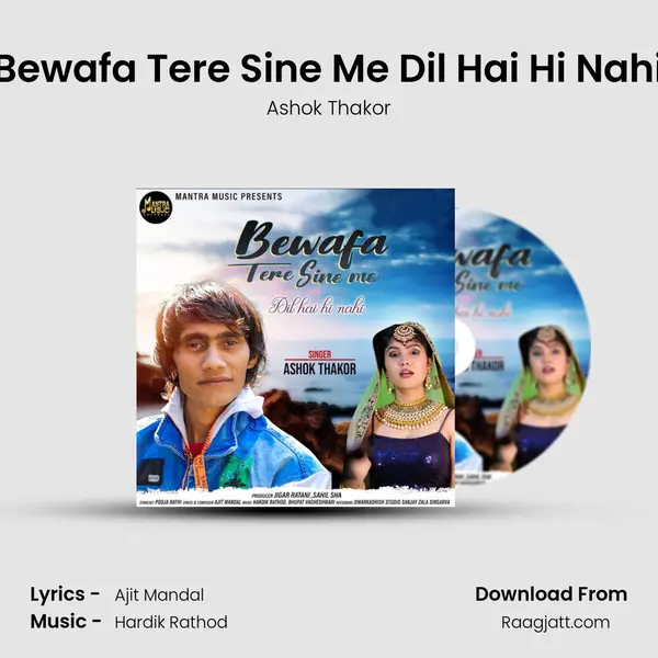 Bewafa Tere Sine Me Dil Hai Hi Nahi - Ashok Thakor album cover 