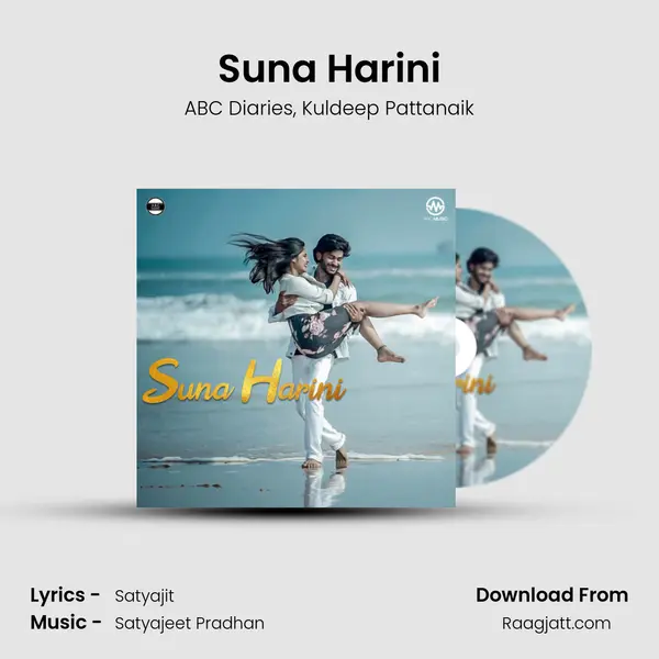 Suna Harini - ABC Diaries album cover 