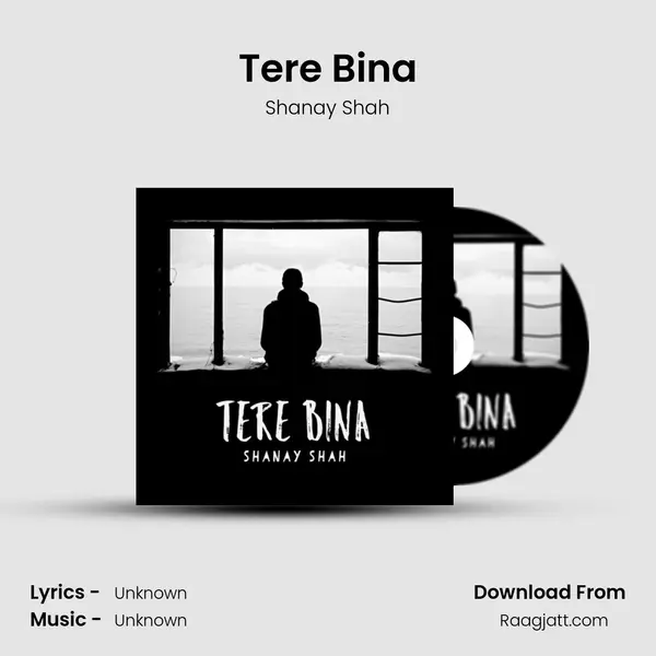 Tere Bina - Shanay Shah album cover 