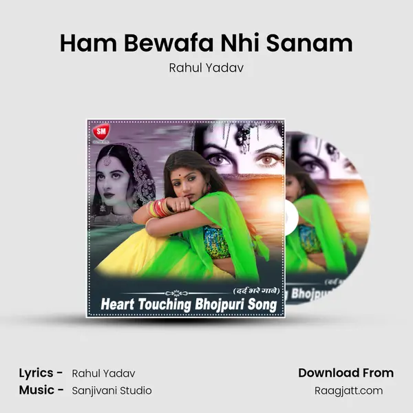 Ham Bewafa Nhi Sanam - Rahul Yadav album cover 