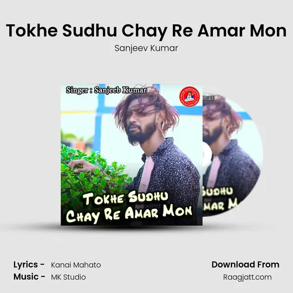 Tokhe Sudhu Chay Re Amar Mon mp3 song