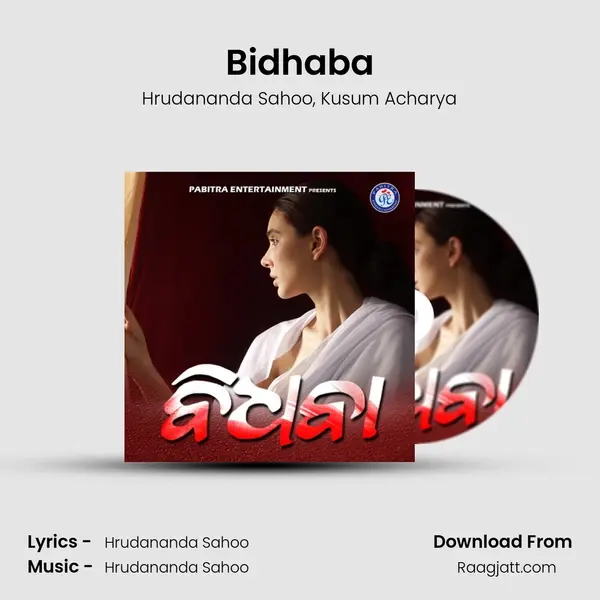 Bidhaba - Hrudananda Sahoo album cover 