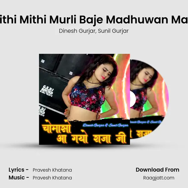 Mithi Mithi Murli Baje Madhuwan Main - Dinesh Gurjar mp3 song