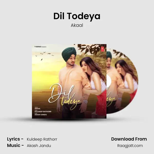 Dil Todeya - Akaal album cover 