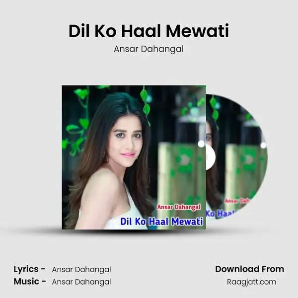 Dil Ko Haal Mewati - Ansar Dahangal album cover 