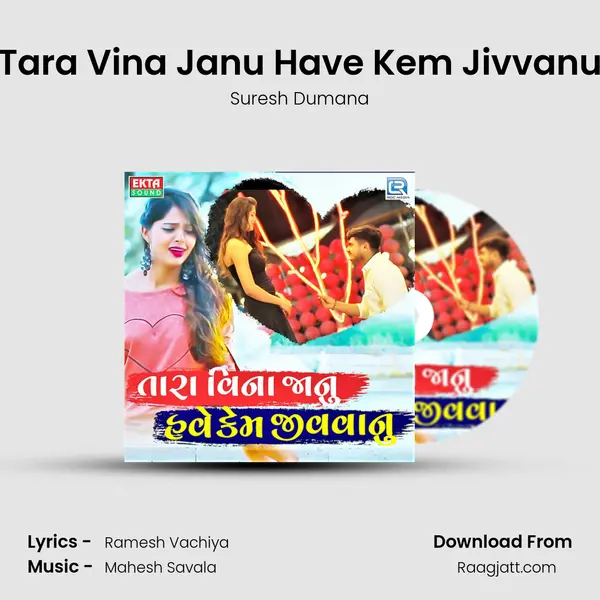 Tara Vina Janu Have Kem Jivvanu mp3 song