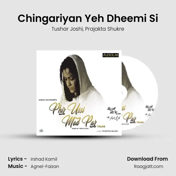 Chingariyan Yeh Dheemi Si - Tushar Joshi album cover 