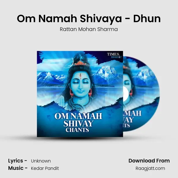 Om Namah Shivaya - Dhun mp3 song