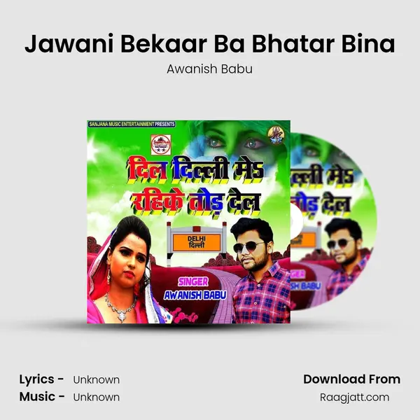 Jawani Bekaar Ba Bhatar Bina - Awanish Babu album cover 