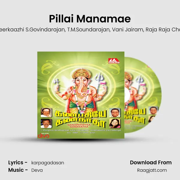 Pillai Manamae - Dr.Seerkaazhi S.Govindarajan album cover 