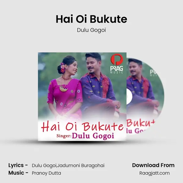 Hai Oi Bukute - Dulu Gogoi album cover 