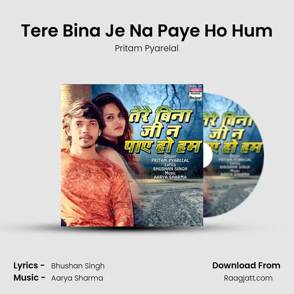 Tere Bina Je Na Paye Ho Hum mp3 song